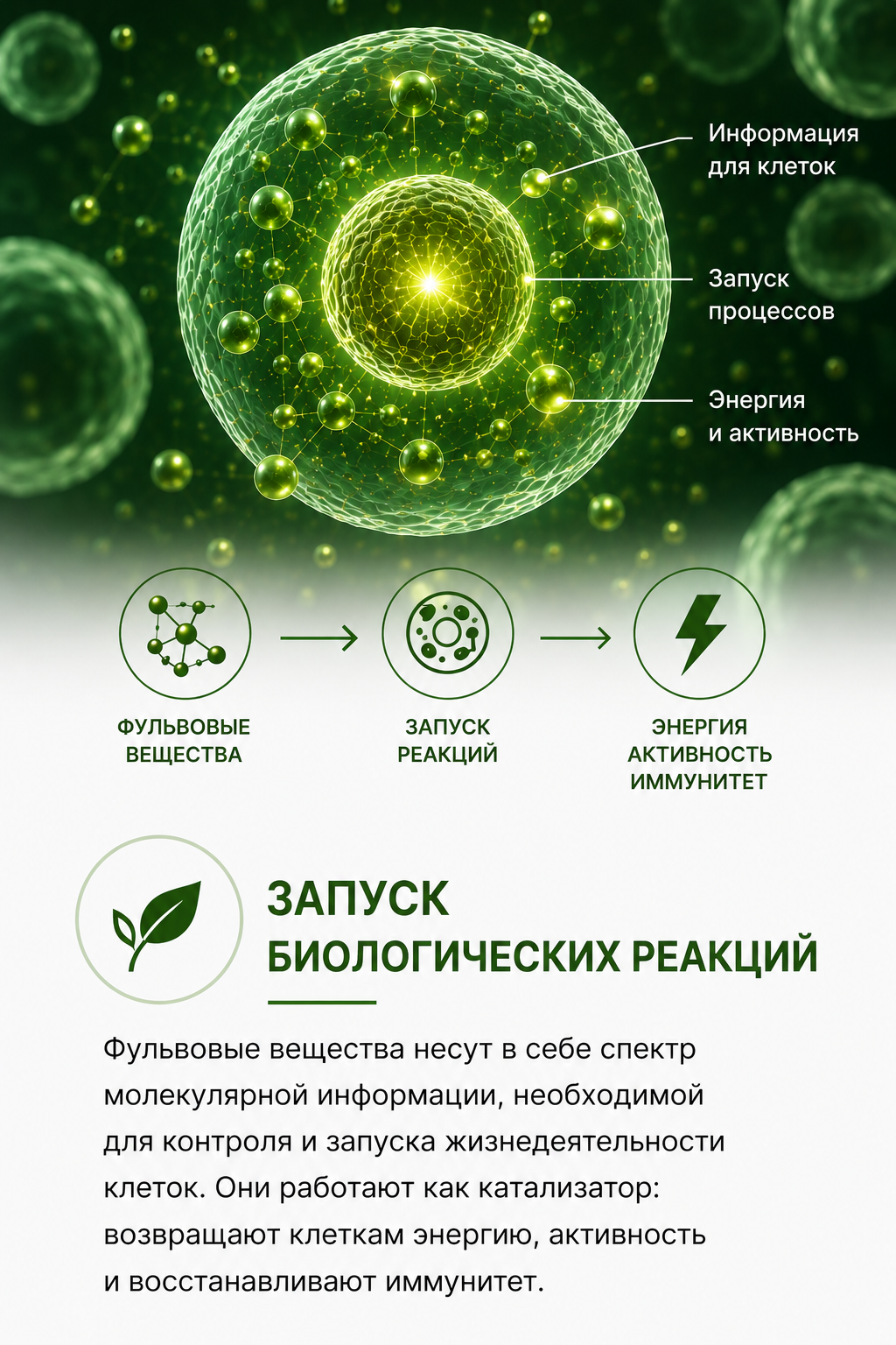 Запуск биологических реакций