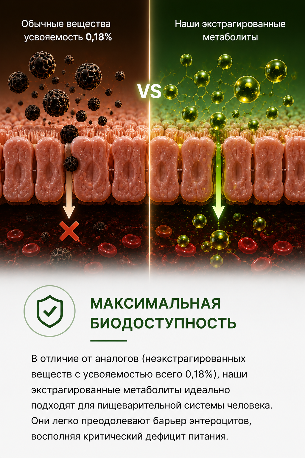 Максимальная биодоступность